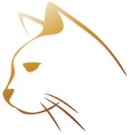 drawing of a cat's head on a white background