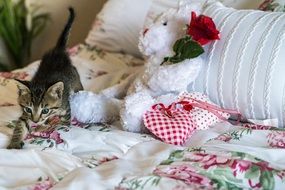 kitten playing in the bed next to the polar bear