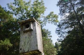 wooden birdhouse among green trees