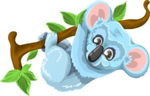 Koala Animal