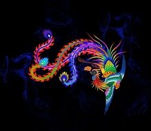 Colorful phoenix