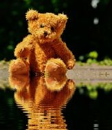 teddy bear on the puddle
