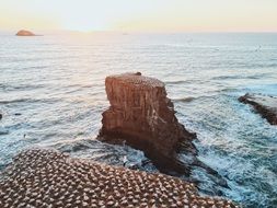 charming Ocean Coast