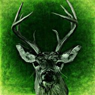 portrait of a deer in green colors