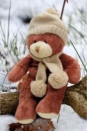 Teddy Plush Bear