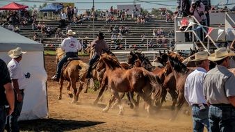 western rodeo