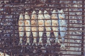 roasted Fish on grill
