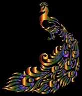 Abstract colorful Bird, Line Art