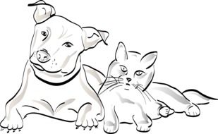 drawing of a dog and a cat