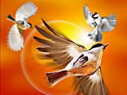 Three colorful birds as a graphic image with background with the light