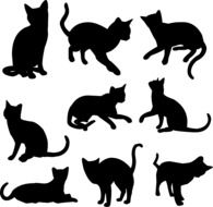 black silhouettes of different cats