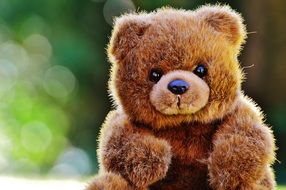 teddy bear on a background of green trees