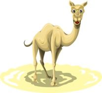 Camel in Egypt clipart