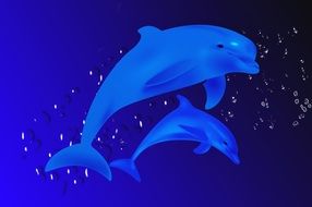 Dolphin swim drawing