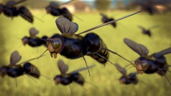 honey bees fly over a green field