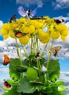 painted spring meadow