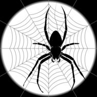 Black and white Spider Web drawing