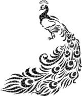 peacock pattern with a long tail