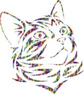 colorful drawing of a cat face