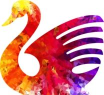 Swan Bird drawing