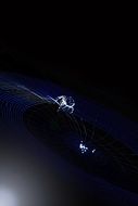 spider Cobweb