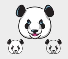 panda heads on at grey background