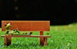 green frog rests on a wooden bench