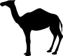 black silhouette of a camel with one hump