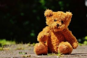 brown teddy bear on the road