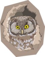 painted owl in a hollow