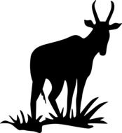 black silhouette of Antelope