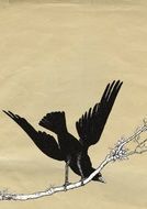 Vintage illustration, black Bird on branch