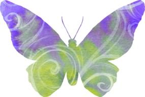 violet-green butterfly drawing