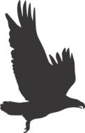 Silhouette Eagle drawing