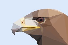 eagle head drawing