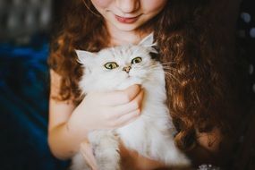 Young Redhead Girl petting white fluffy Cat