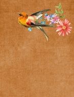 vintage card with painted orange bird
