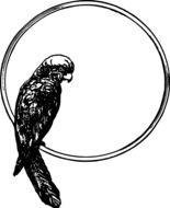 Animal Bird Circle drawing