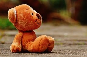 teddy bear sits sideways on an asphalt track