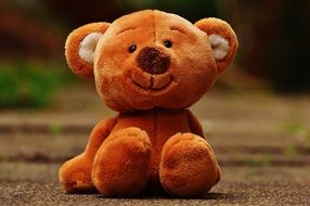 brown teddy bear sitting on a path in a park