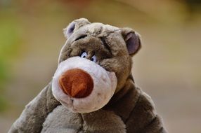 cute Bear plush Toy