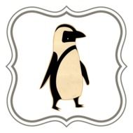 picture of a penguin in a frame