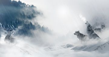 Wolves Hirsch Hunt