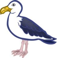 white and blue seagull, illustration