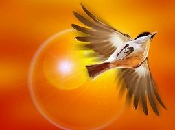 painted Bird on a background of orange sky