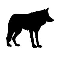 black silhouette of a wolf as an illustration