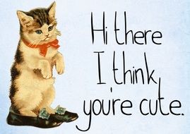 Message from cute kitten