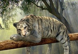 clipart of tired tiger in the picturesque nature of rainforest