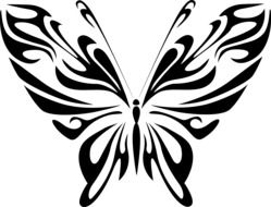 abstract black and white image of butterfly at white background