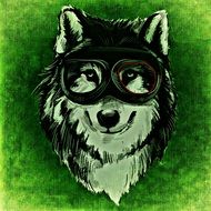 drawing of dog portrait